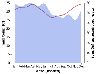 temperature and rainfall during the year in Tual