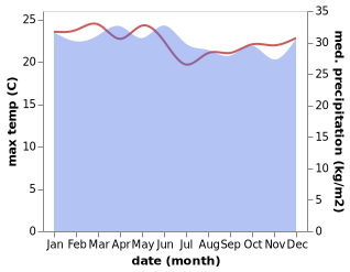 temperature and rainfall during the year in Enarotali