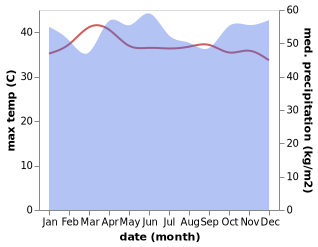 temperature and rainfall during the year in Batupanjang