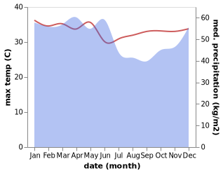 temperature and rainfall during the year in Pegatan