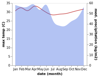 temperature and rainfall during the year in Langnga