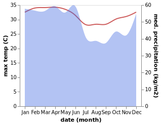 temperature and rainfall during the year in Palakka