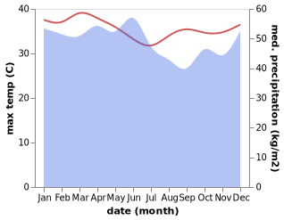 temperature and rainfall during the year in Wonorejo