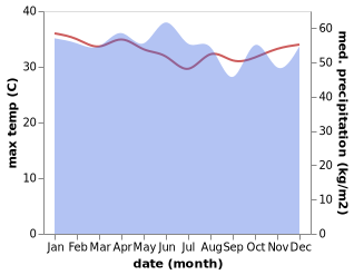 temperature and rainfall during the year in Ayamaru