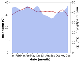 temperature and rainfall during the year in Baso