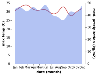 temperature and rainfall during the year in Gunung Talang