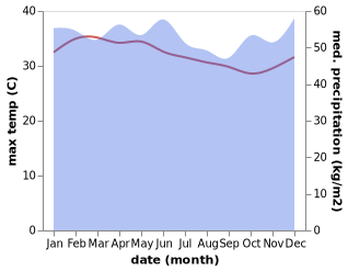 temperature and rainfall during the year in Kampungladang