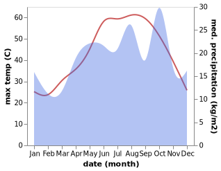 temperature and rainfall during the year in Bushehr