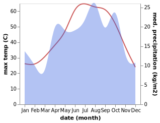 temperature and rainfall during the year in Mohr