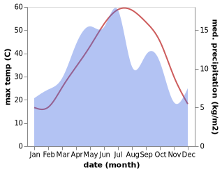 temperature and rainfall during the year in Bajestan