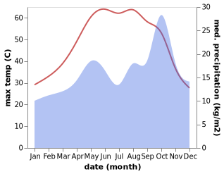 temperature and rainfall during the year in Ar Rifa'i