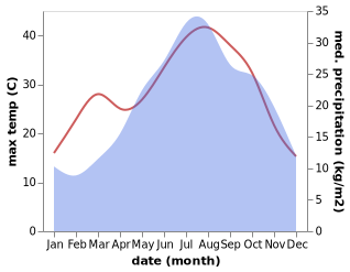 temperature and rainfall during the year in Borgo Tossignano