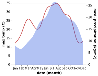 temperature and rainfall during the year in Castel del Rio