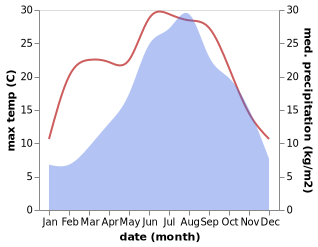 temperature and rainfall during the year in Fiera di Primiero