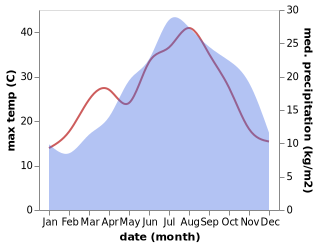 temperature and rainfall during the year in Bagno Roselle