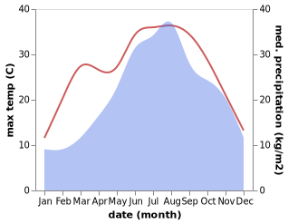 temperature and rainfall during the year in Abbazia Pisani