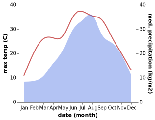 temperature and rainfall during the year in Albaredo d'Adige