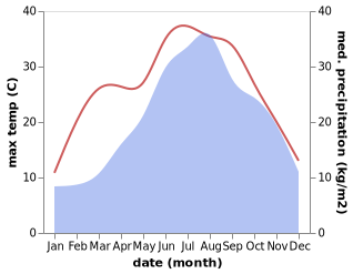 temperature and rainfall during the year in Bonavigo