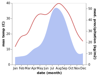 temperature and rainfall during the year in Ichinomiya