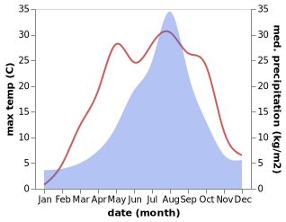 temperature and rainfall during the year in Tono