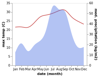 temperature and rainfall during the year in Ibusuki