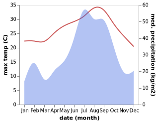 temperature and rainfall during the year in Nishinoomote