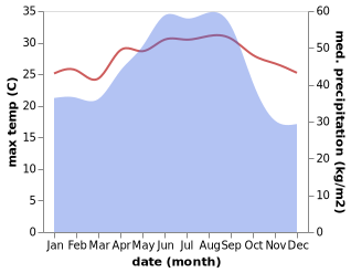 temperature and rainfall during the year in Ishigaki