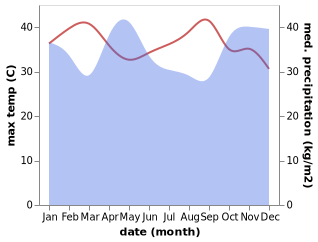 temperature and rainfall during the year in Wundanyi
