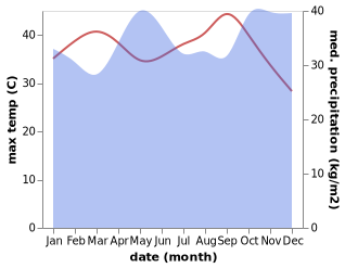 temperature and rainfall during the year in Maua