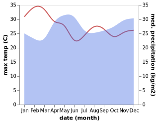 temperature and rainfall during the year in Litein