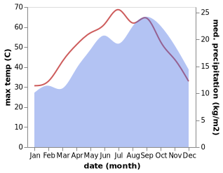 temperature and rainfall during the year in Gialo