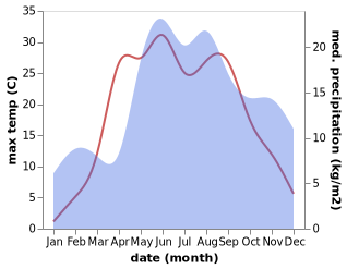 temperature and rainfall during the year in Dusetos