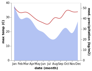 temperature and rainfall during the year in Fort Dauphin