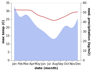 temperature and rainfall during the year in Ifatsy