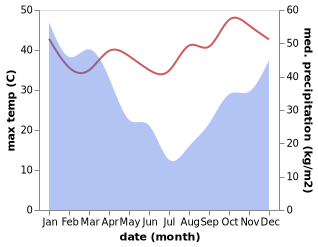 temperature and rainfall during the year in Morondava