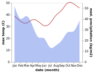 temperature and rainfall during the year in Manja