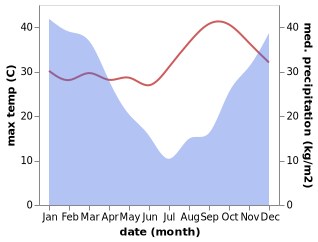 temperature and rainfall during the year in Dedza