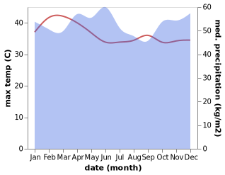 temperature and rainfall during the year in Kelapa Sawit