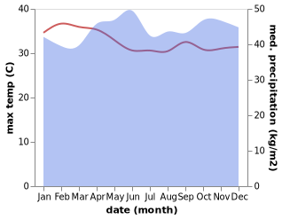 temperature and rainfall during the year in Bidur