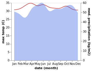 temperature and rainfall during the year in Batu Feringgi