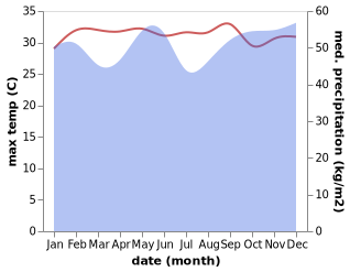 temperature and rainfall during the year in Viligili