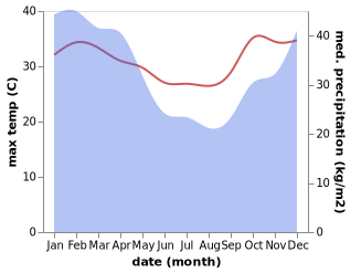 temperature and rainfall during the year in Bambous