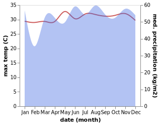 temperature and rainfall during the year in Tamatam