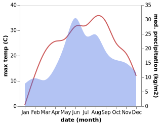 temperature and rainfall during the year in Briceni