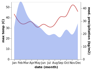 temperature and rainfall during the year in Kone