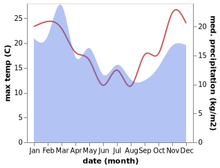 temperature and rainfall during the year in Papatowai