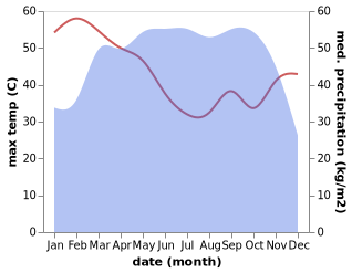 temperature and rainfall during the year in Nzam