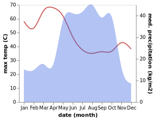 temperature and rainfall during the year in Danja