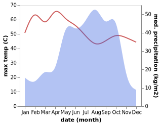 temperature and rainfall during the year in Gulma