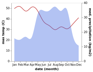 temperature and rainfall during the year in Barakin Ladi